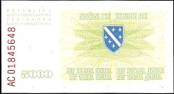 bihP.16a5000Dinara25.1.1993BAr.jpg