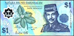 brnP.New1Ringgit2007polymer.jpg