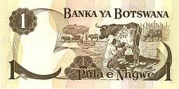 bwaP.11PulaND197679CNr.jpg