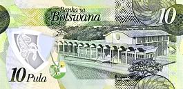 bwaP.36a10Pulu2020dlrpolymerr.jpg