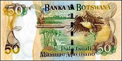 bwaP.New50PulaND2005r.jpg