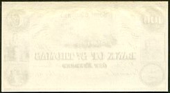 DwiP.11P100Dollars18xxr.jpg