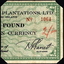 Fai_PUNL_SB1541b_2_Shillings_on_1_Pound_ND_1064.jpg