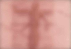 feaP.55000Fr25.10.1940r.jpg