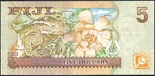 FjiN.428P.New5ND2007r.jpg