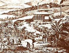 Brewer & Joske Sugar Mills Ca. 1870 Suva, Fiji