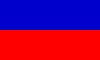 South Haiti flag