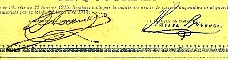 Signature 17