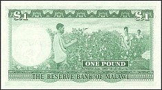 malP.3A1PoundL1964THr.jpg