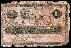 nzlN.250P.UNL1Pound180x.jpg