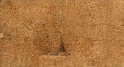 pryP.S12210Centavos1.1.1882JMr.jpg