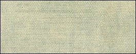 rusP.S85925Rubles1919r.jpg