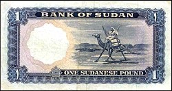 SdnP.8b1Pound2.3.1965RSr.jpg