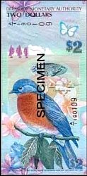 bmuP.572Dollars1.1.2009DHC.jpg