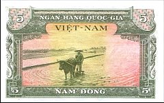 vnsP.2a5DongND1955MVr.jpg