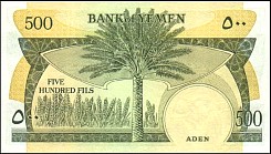 ydrP.6500FilsND91984r.jpg