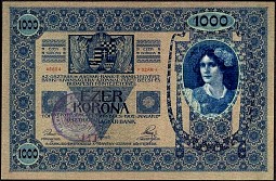 YugP.51000KronenND1919r.jpg