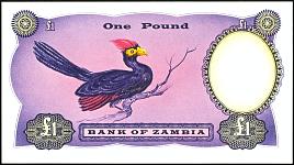 zmbZambiaBankofZambia1PoundND1963PickA1HAr.jpg